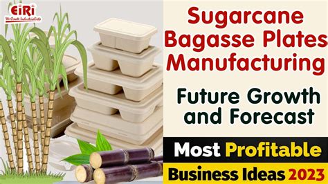 bagasse plates manufacturing process .